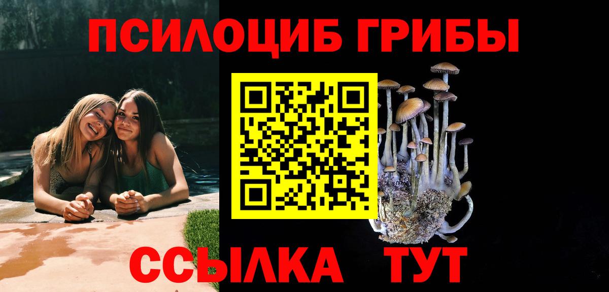 купить закладку  Вход с VPN  Жигулёвск  Галлюциногенные грибы мицелий 